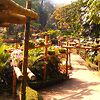 А это Mae Fah Luang Garden - цветочный сад рядом с