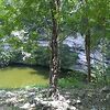 На территории комплекса есть два сенота. Мы такие ... На территории комплекса есть два сенота. Мы такие