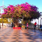 Дворики Храма Doi Suthep оказались очень уютными..