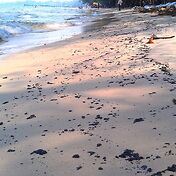 Hawaii Beach тоже оказался грязным... Мы даже не с