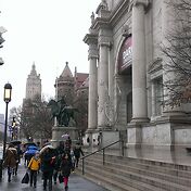 Сегодня прячемся от дождя в American Museum of Nat