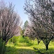 Вроде бы парк, как парк, ничего особенного, но как