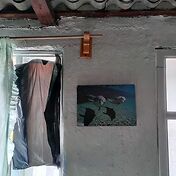 Комнатка у нас что надо! Посмотрите как хозяева за