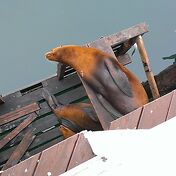 На причале нам повстречались уже знакомые милые со