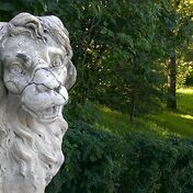 Генно-модифицированный лев. Или верблюд. Или лошад
