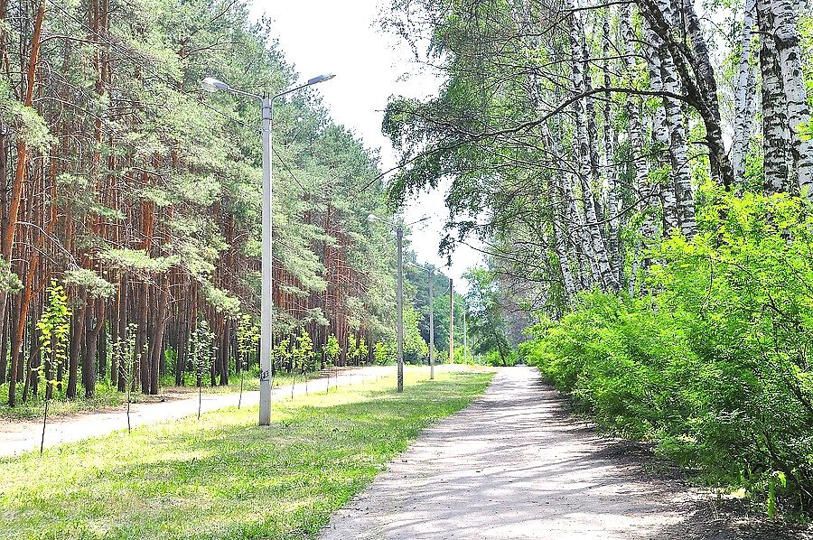 Соскучились мы как-то по Воронежу и решили съездит