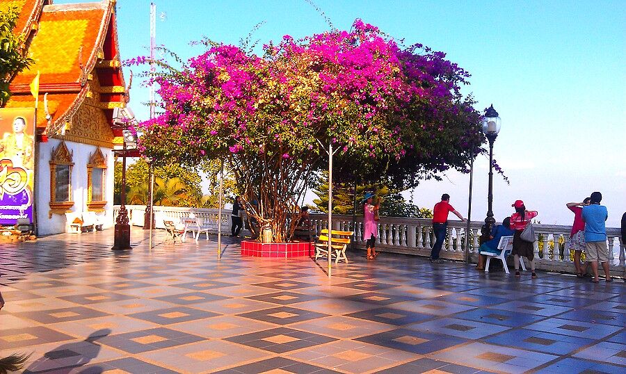 Дворики Храма Doi Suthep оказались очень уютными..