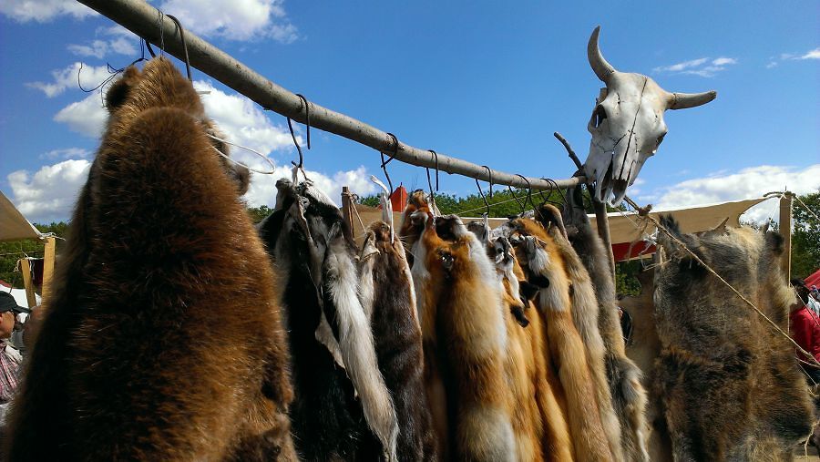 Шкурки, черепушки, украшения, доспехи, посуда и мн