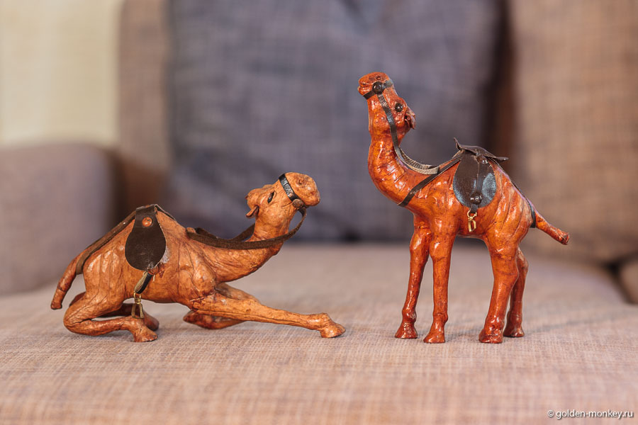 Этих двух верблюдов, купленных у разных старьевщиков на специальном рынке в Праге, будем считать своей главной добычей из Чехии. Ну и что, что в Праге отродясь верблюдов не водилось!