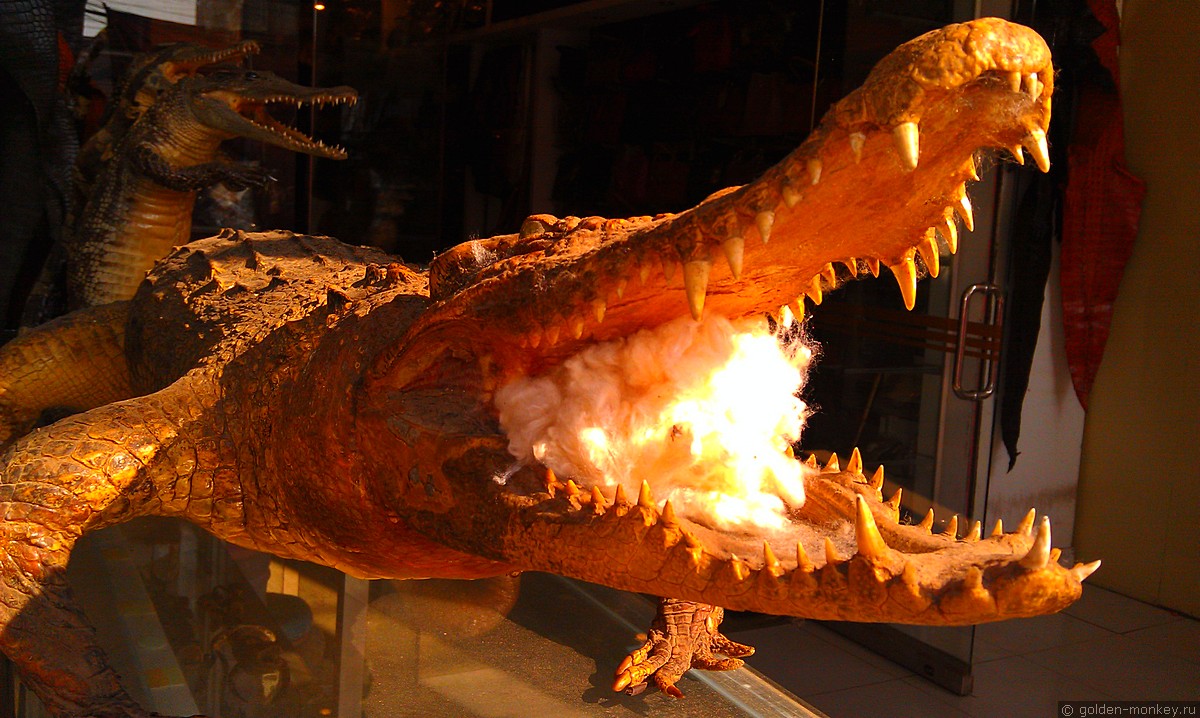 Особо отважные могут подарить крокодила, главное, чтобы получатель в обморок не упал при виде такой морды. На самом деле, животных жалко, потому что это не какие-нибудь пластиковые крокодильчики, а чучела самых что ни на есть настоящих. В Сием-Реапе, к сожалению, мы таких видели много. Особо отважные могут подарить крокодила, главное, чтобы получатель в обморок не упал при виде такой морды. На самом деле, животных жалко, потому что это не какие-нибудь пластиковые крокодильчики, а чучела самых что ни на есть настоящих. В Сием-Реапе, к сожалению, мы таких видели много.