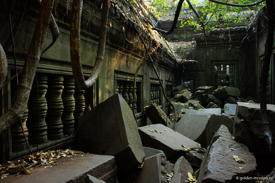 В «непопулярных» уголках храм выглядит так, будто кто-то разбросал кубики из коробки с игрушками или вынул самый нижний из высокой стопки и все рухнуло, застыв во времени. По сравнению со здешними видами упомянутый Та Пром кажется ухоженным и чистеньким, хотя и говорят, что его оставили для туристов практически в том виде, в каком он был обнаружен первооткрывателями. Именно в Бенг Мелиа понимаешь, как оно на самом деле все выглядит без «уборки». В «непопулярных» уголках храм выглядит так, будто кто-то разбросал кубики из коробки с игрушками или вынул самый нижний из высокой стопки и все рухнуло, застыв во времени. По сравнению со здешними видами упомянутый Та Пром кажется ухоженным и чистеньким, хотя и говорят, что его оставили для туристов практически в том виде, в каком он был обнаружен первооткрывателями. Именно в Бенг Мелиа понимаешь, как оно на самом деле все выглядит без «уборки».