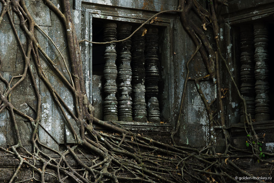 Такие кружевные полотна можно разглядывать часами, удивляясь, насколько деревья способны слиться с камнями воедино. Такие кружевные полотна можно разглядывать часами, удивляясь, насколько деревья способны слиться с камнями воедино.