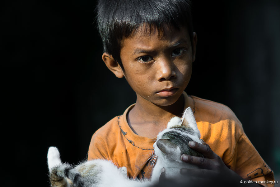 Мальчик с недоверчивым взглядом пытался вручить нам котенка. Мальчик с недоверчивым взглядом пытался вручить нам котенка.