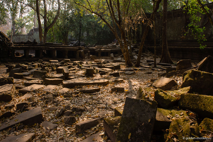 В лучах просачивающегося сквозь кроны деревьев солнца храмовый комплекс выглядит особенно очаровательно. В лучах просачивающегося сквозь кроны деревьев солнца храмовый комплекс выглядит особенно очаровательно.