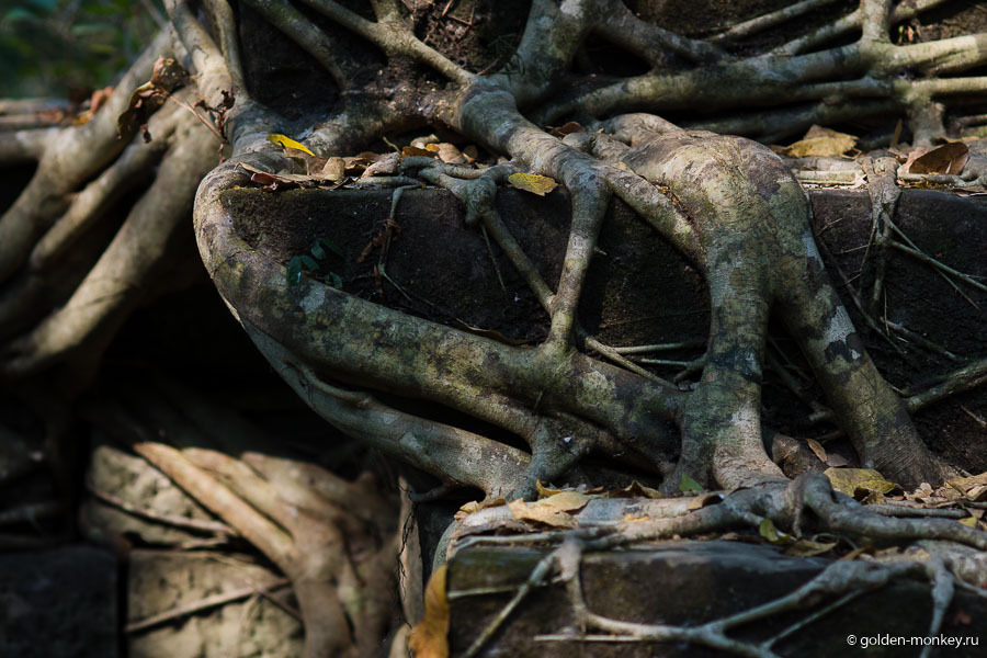 Тесные объятия. Тесные объятия.