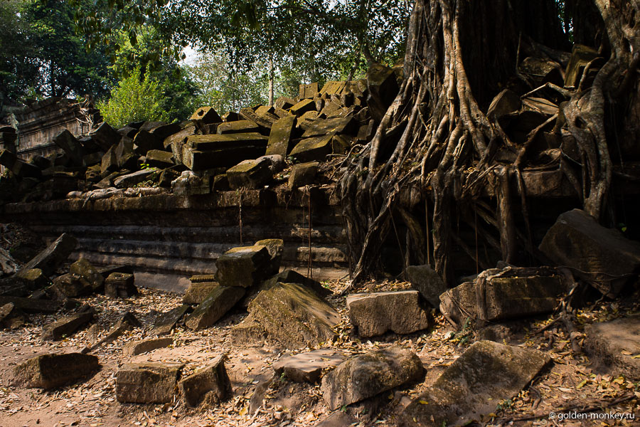 Мы с Андрюсиксом были в Ангкоре в феврале, в самый разгар сухого сезона, когда стояла сухая жаркая погода. Говорят, в сезон дождей в Бенг Мелиа еще более красиво, так как стены покрыты ярко-зеленым сочным мхом, а не таким вымученно-желтоватым, какой был в нашем случае. Мы с Андрюсиксом были в Ангкоре в феврале, в самый разгар сухого сезона, когда стояла сухая жаркая погода. Говорят, в сезон дождей в Бенг Мелиа еще более красиво, так как стены покрыты ярко-зеленым сочным мхом, а не таким вымученно-желтоватым, какой был в нашем случае.