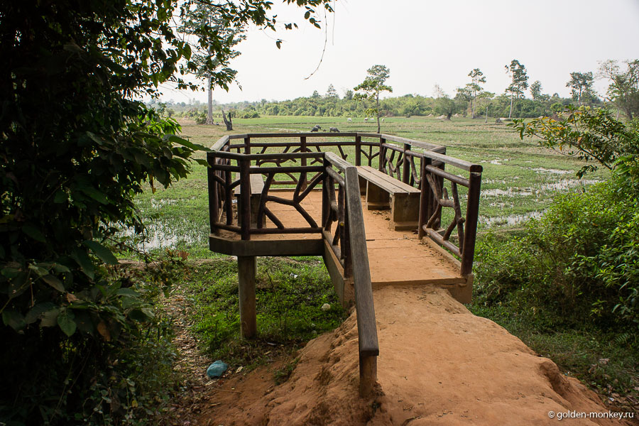 Если пройтись по тропинке, то можно наткнуться вот на такой вью-поинт с видом на поля-луга, взгорья и быков. Если пройтись по тропинке, то можно наткнуться вот на такой вью-поинт с видом на поля-луга, взгорья и быков.