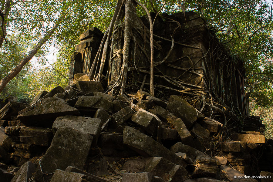 Бенг Мелиа. Бенг Мелиа.