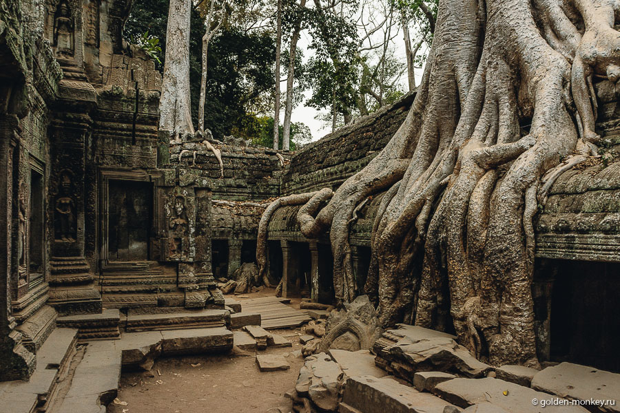 Та Пром. Та Пром.