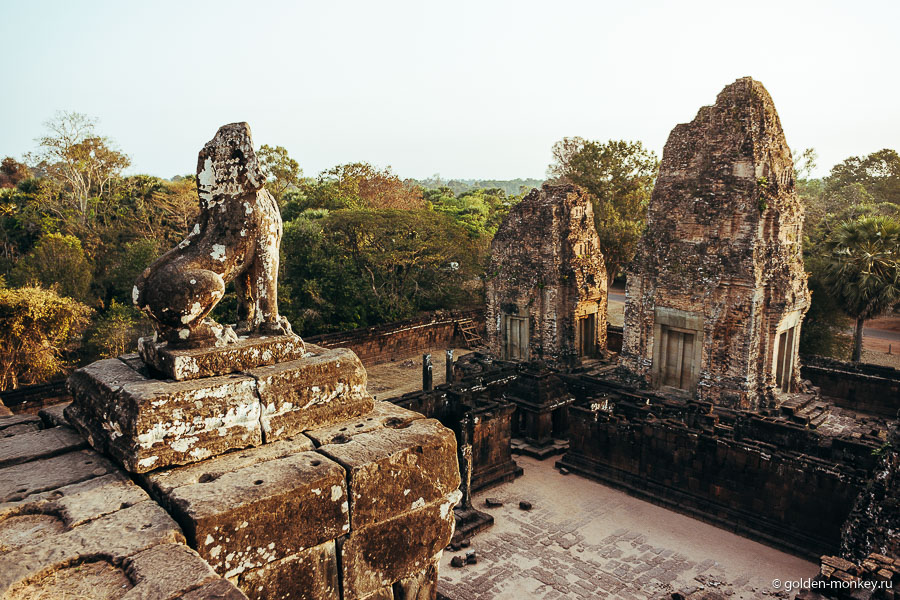 Львы – верные охранники многих храмов. В Пре Рупе они расселись на пьедесталах по сторонам лестниц, ведущих к верхней центральной платформе. Никаких захватывающих дух видов сверху, к сожалению, не видно, лишь джунгли, да едва виднеющиеся вдали башни Ангкор Вата на западе. Львы – верные охранники многих храмов. В Пре Рупе они расселись на пьедесталах по сторонам лестниц, ведущих к верхней центральной платформе. Никаких захватывающих дух видов сверху, к сожалению, не видно, лишь джунгли, да едва виднеющиеся вдали башни Ангкор Вата на западе.