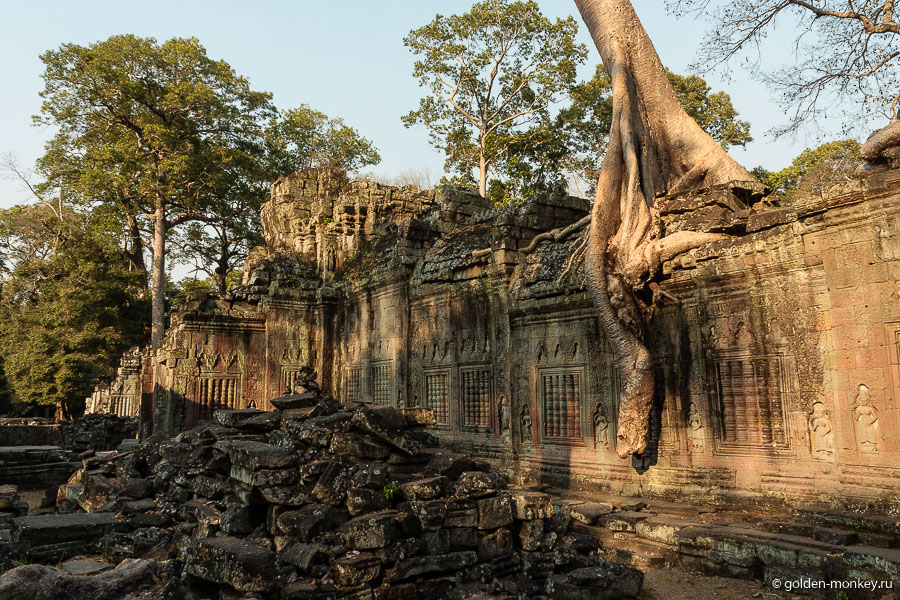 На территории Пре Кана также можно найти гигантские деревья (наряду с Та Промом и Та Сомом), слившиеся в тесном союзе с каменными постройками и привносящие особую изюминку в осмотр комплекса. На территории Пре Кана также можно найти гигантские деревья (наряду с Та Промом и Та Сомом), слившиеся в тесном союзе с каменными постройками и привносящие особую изюминку в осмотр комплекса.