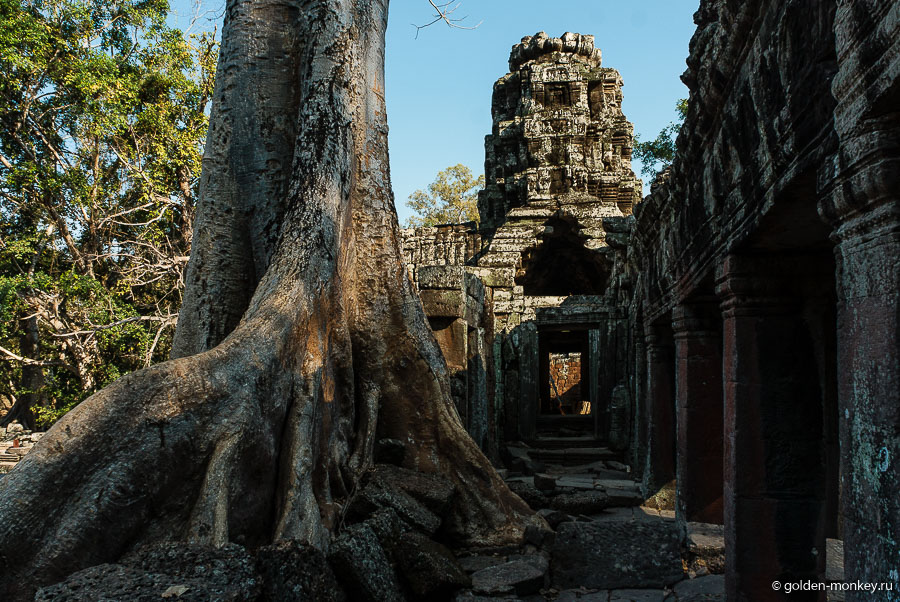 Если Бантей Кдей будет одним из первых малых храмов на вашем пути, то вполне вероятно, что произведет должное впечатление, если же решите двигаться в противоположном направлении и к тому моменту, как доберетесь до него, все «ангкорские камни» будут казаться братьями-близнецами, можно пропустить его - потеряете, на самом деле, немного. Если Бантей Кдей будет одним из первых малых храмов на вашем пути, то вполне вероятно, что произведет должное впечатление, если же решите двигаться в противоположном направлении и к тому моменту, как доберетесь до него, все «ангкорские камни» будут казаться братьями-близнецами, можно пропустить его - потеряете, на самом деле, немного.