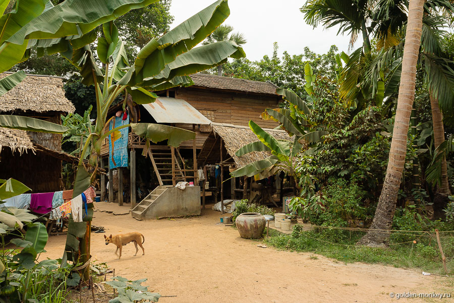 Типичное жилище деревенских жителей. Дома стоят на сваях, похоже, чтобы не заливало в сезон дождей. Типичное жилище деревенских жителей. Дома стоят на сваях, похоже, чтобы не заливало в сезон дождей.