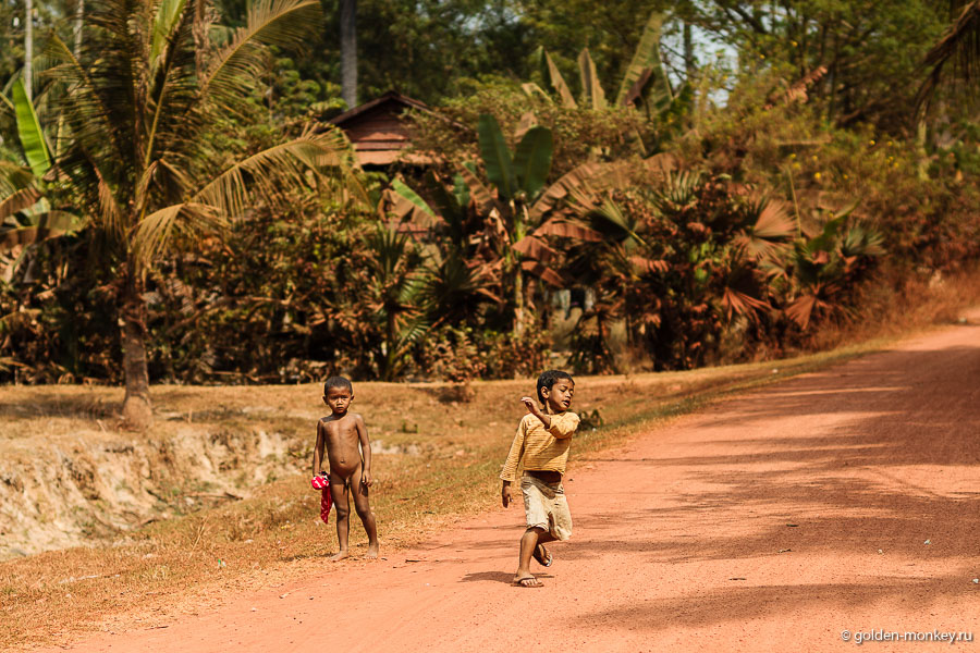Камбоджийские маугли. Камбоджийские маугли.