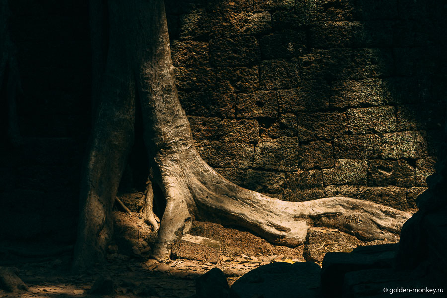 Словно огромные змеи, корни расползаются во все стороны, доказывая свою мощь и живучесть, являясь иллюстрацией процесса борьбы природного и рукотворного. Словно огромные змеи, корни расползаются во все стороны, доказывая свою мощь и живучесть, являясь иллюстрацией процесса борьбы природного и рукотворного.