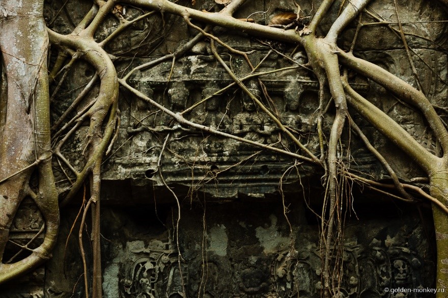 Если будете гулять с гидом, то услышите немало подробностей и тонкостей, касающихся местных изображений. Если будете гулять с гидом, то услышите немало подробностей и тонкостей, касающихся местных изображений.