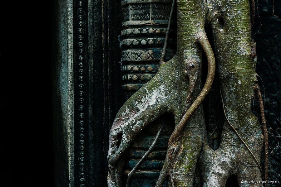 Дерево, обнимающее своей «рукой» барельеф в Та Проме, Ангкор, Камбоджа. Дерево, обнимающее своей «рукой» барельеф в Та Проме, Ангкор, Камбоджа.