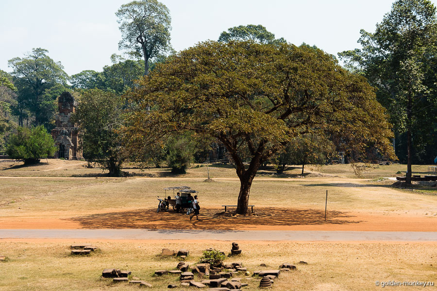 Королевская площадь с «королем» на тук-туке )) Королевская площадь с «королем» на тук-туке ))