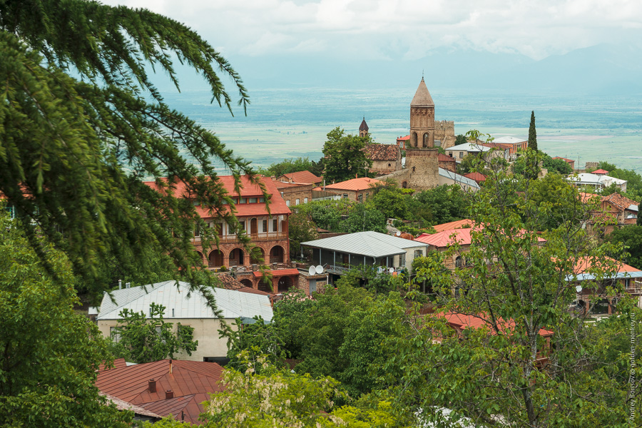 Панорама Сигнахи Панорама Сигнахи