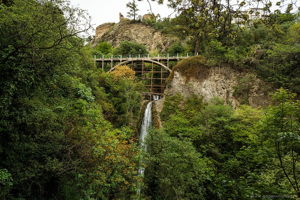 Тбилиси, Ботанический сад Тбилиси, Ботанический сад