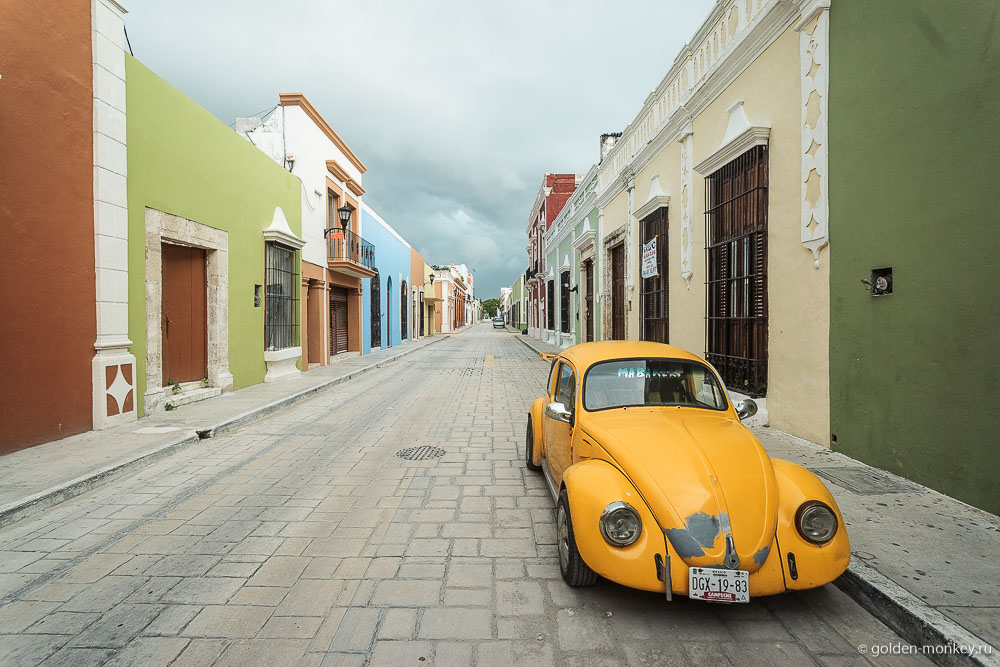 Кампече, желтый Жук Кампече, желтый Жук