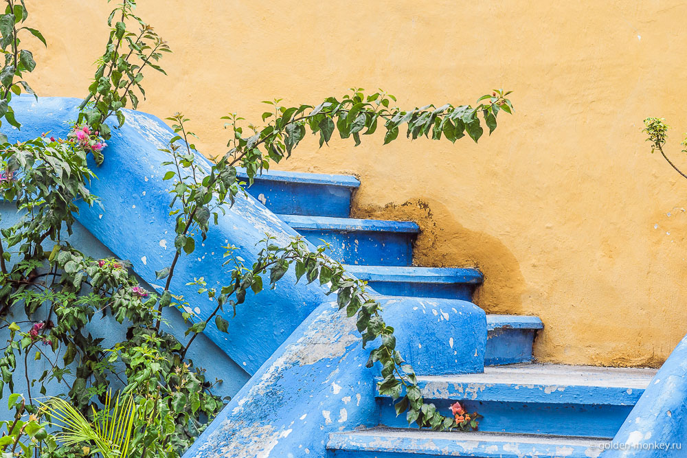 Кампече, лестница с цветами Кампече, лестница с цветами