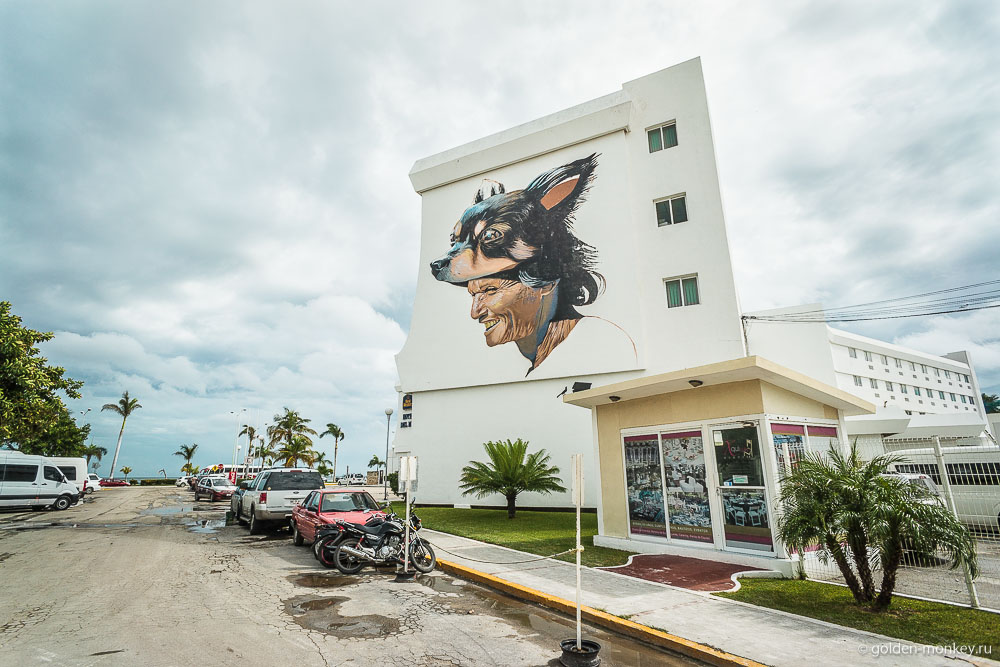 Кампече, граффити Кампече, граффити