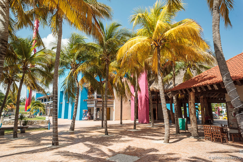 Канкун, пальмы на пляже Линда Канкун, пальмы на пляже Линда