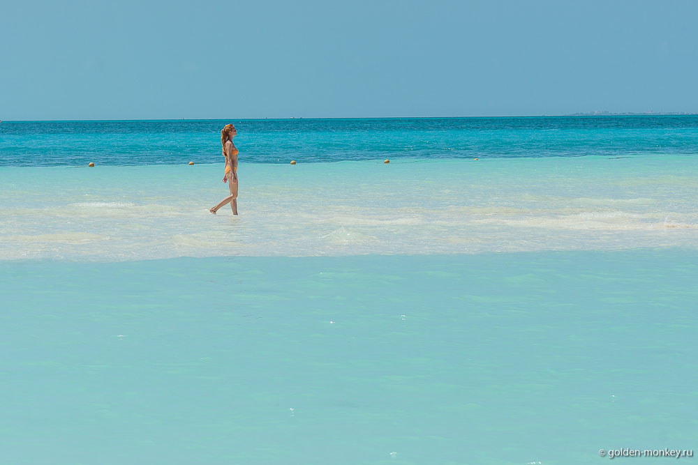 Канкун, Шеболдасик в Карибском море Канкун, Шеболдасик в Карибском море