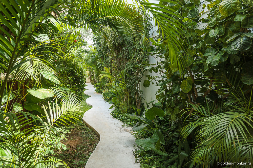 Канкун, бюджетный Hotel & Hostal El Meson de Tulum, дорожка Канкун, бюджетный Hotel & Hostal El Meson de Tulum, дорожка