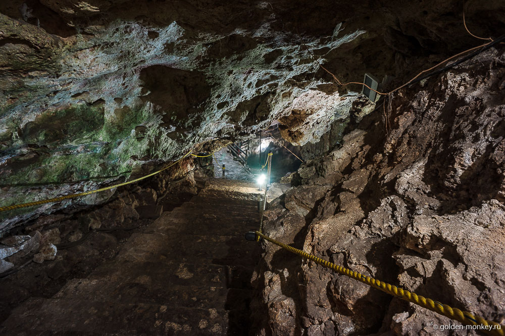 Юкатан, сенот Дзитнуп Юкатан, сенот Дзитнуп