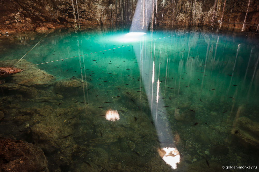 Юкатан, сенот Дзитнуп Юкатан, сенот Дзитнуп