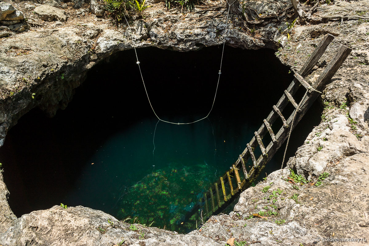 Юкатан, сенот Череп неподалеку от Тулума Юкатан, сенот Череп неподалеку от Тулума