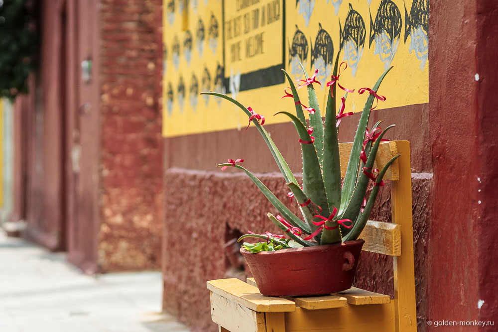 Оахака, декоративное оформление Оахака, декоративное оформление