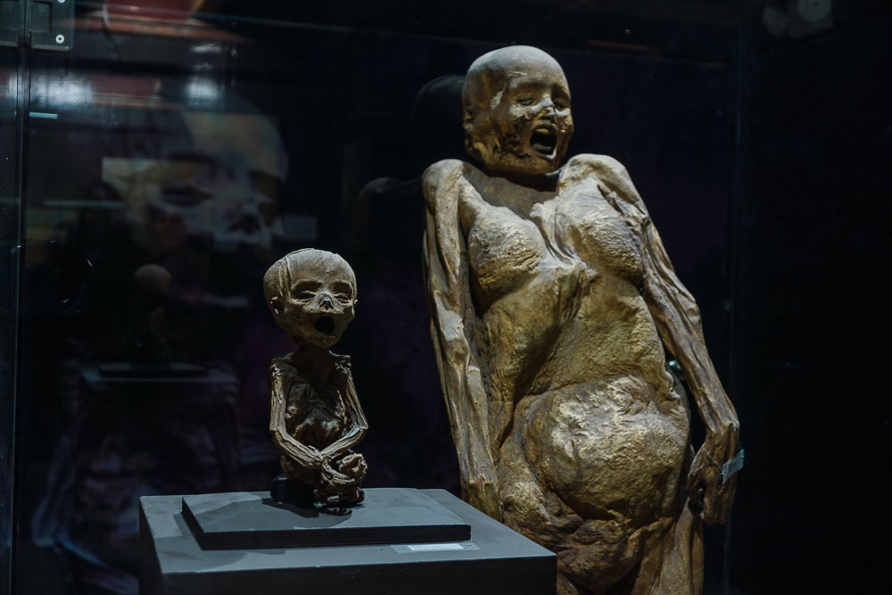 Гуанахуато, музей мумий
