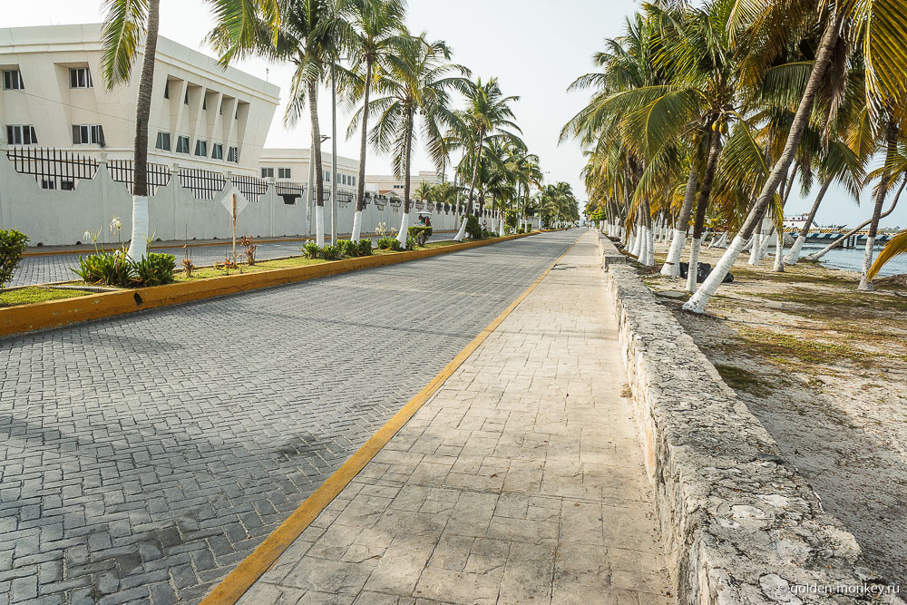 остров Женщин, проспект Медина остров Женщин, проспект Медина