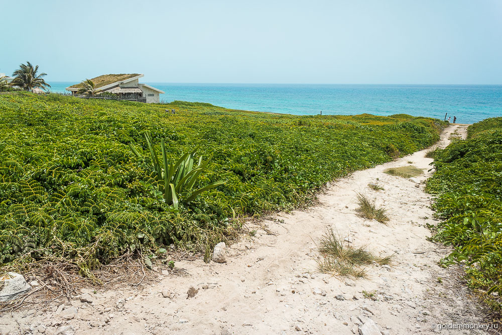 остров Женщин, тропинка к восточному побережью остров Женщин, тропинка к восточному побережью