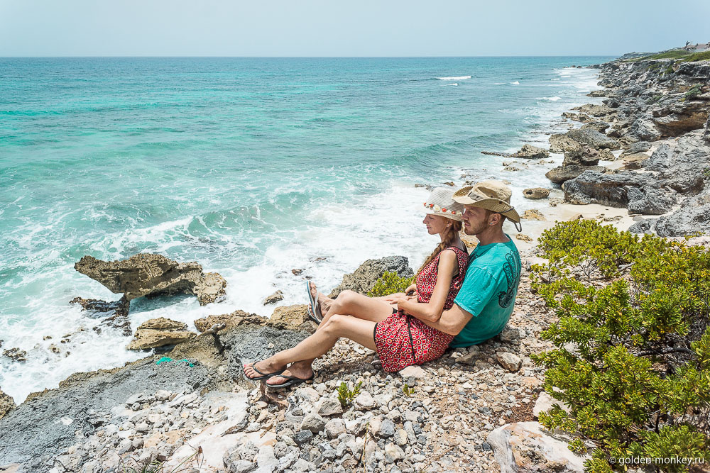 Шеболдасик и Андрюсикс Шеболдасик и Андрюсикс