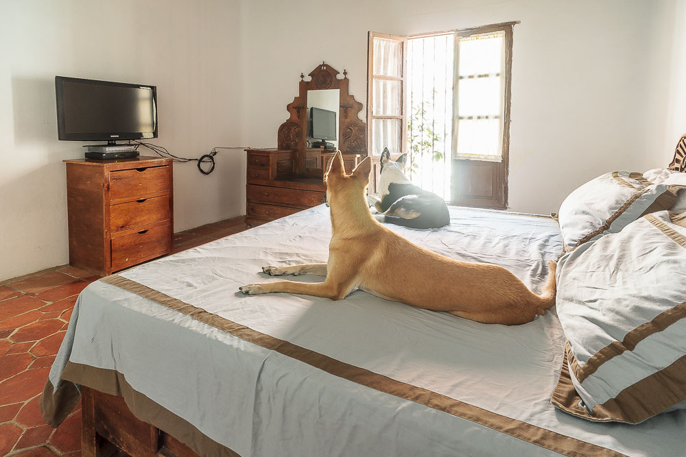 мексиканский дом мексиканский дом