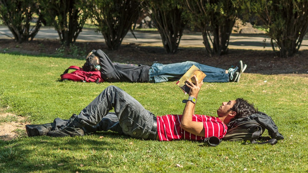 Мехико, Университетский городок Мехико, Университетский городок